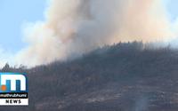 Wildfire Engulfs Vattavada Again