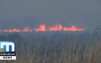 Major Wildfire In Amazon Rainforest; Earth's 'Lungs' Burning Fastest Rate Ever Recorded