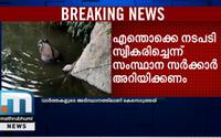 Kerala Elephant Death: National Green Tribunal Registers Case