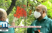 Minister VS Sunil Kumar's House A Visual Treat With Jade Vine Flowers