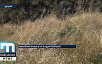 Wildfire Fear Grips Idukki's Border Region